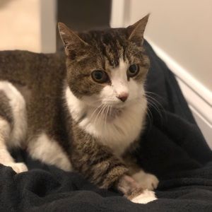 Meet your Posher, Jay